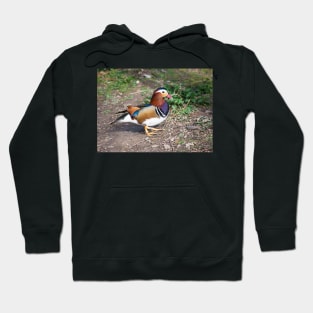 Mandarin Duck Hoodie